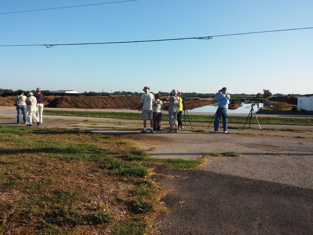 2015-09-12 08.35.51 (1280x960).jpg - Looking for shorebirds and admiring Egyptian Geese